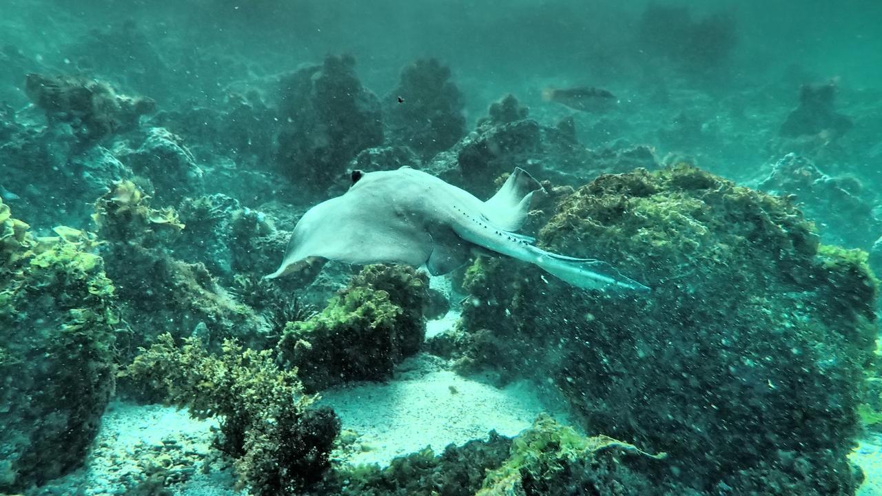 Puerto Velasco Ibarra Floreana Lava Lodge المظهر الخارجي الصورة