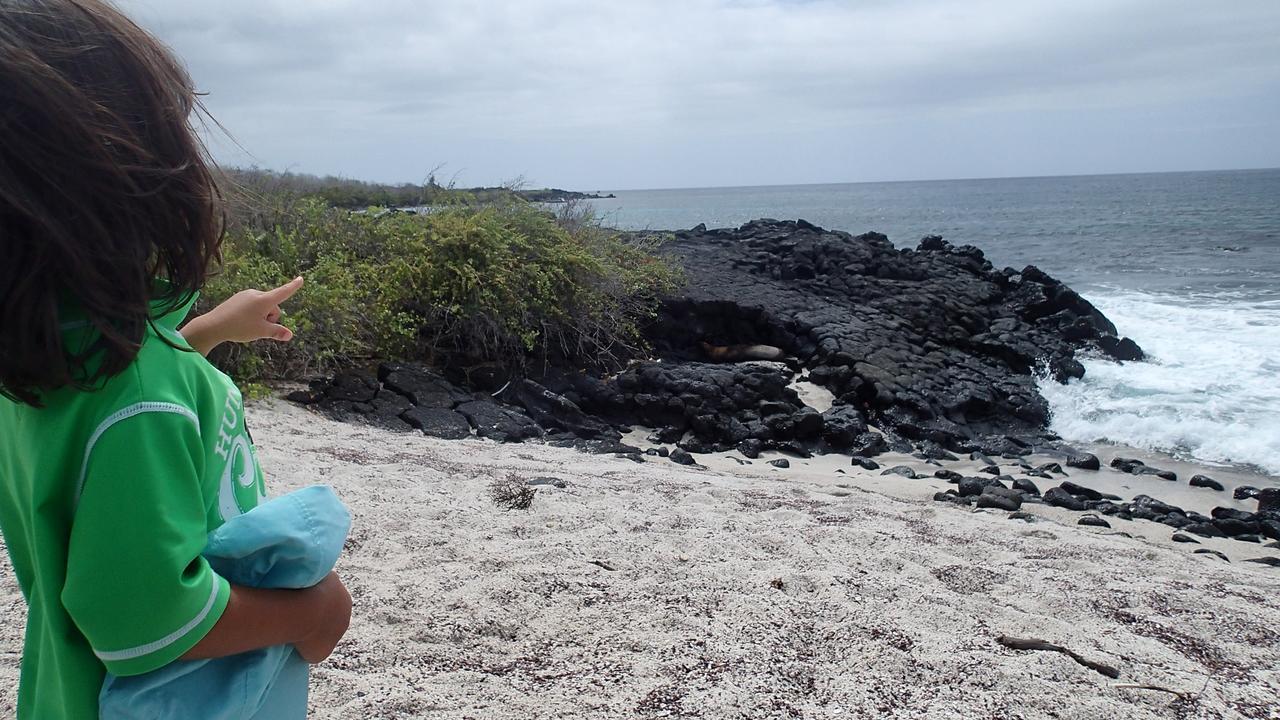 Puerto Velasco Ibarra Floreana Lava Lodge المظهر الخارجي الصورة