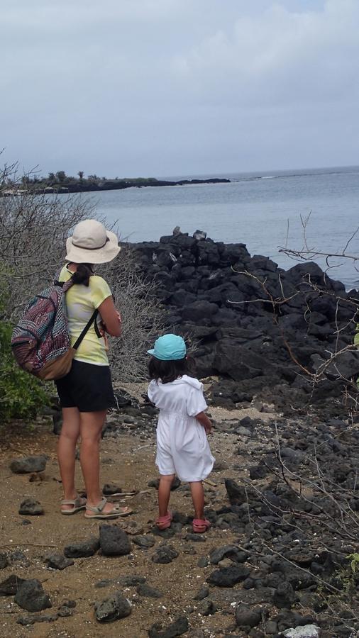 Puerto Velasco Ibarra Floreana Lava Lodge المظهر الخارجي الصورة